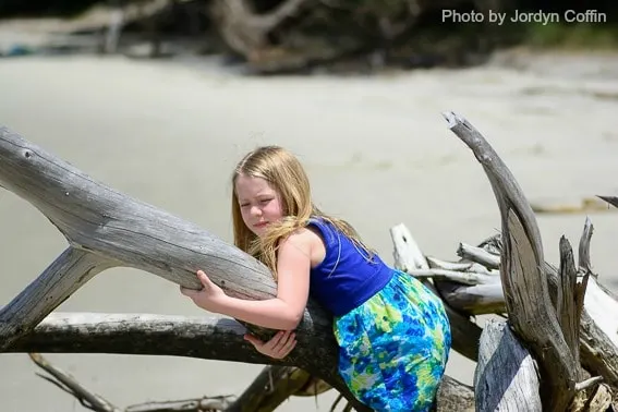 Driftwood Beach Jekyll Island GA