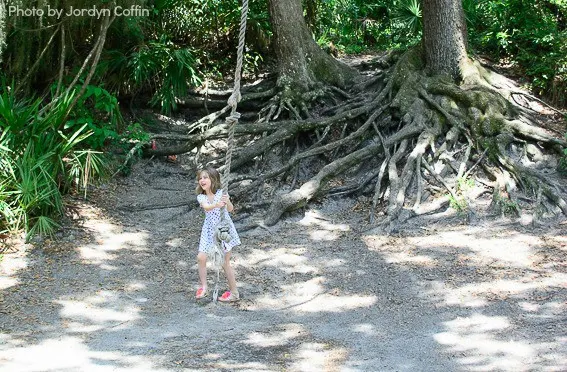 Jekyll Island Rope Swing