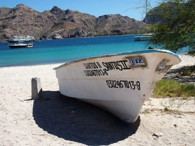 Uncruise Adventures review of the Sea of Cortez cruise Agua Verde