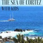 Mexico's Sea of Cortez Cruise with UnCruise Adventures 1