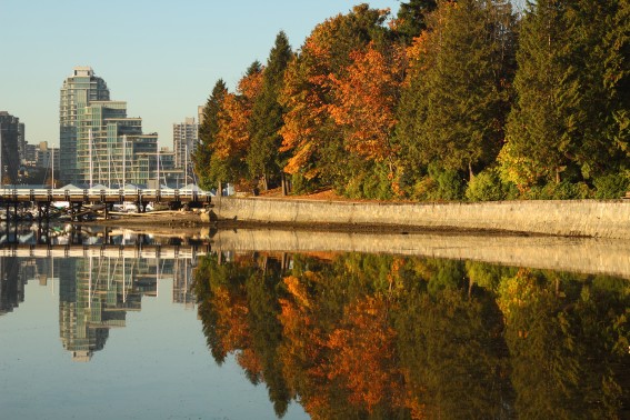 top 10 things to do in vancouver places to stay