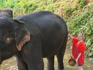 Unique Encounters with Animals and Wildlife for Families in Southeast Asia