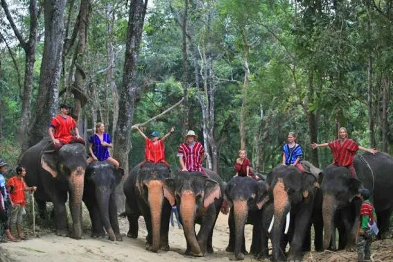 patara elephant farm