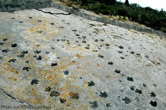 Dinosaur Ridge