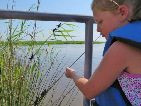 Exploring Mississippi’s Gulf Coast with Kids