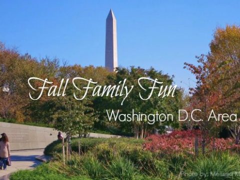 Fall Family Fun near Washington D.C.