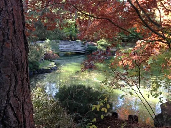 Family-friendly Spokane Manito_JapaneseGardenPond