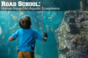 Road School Human Impact on Aquatic Ecosystems