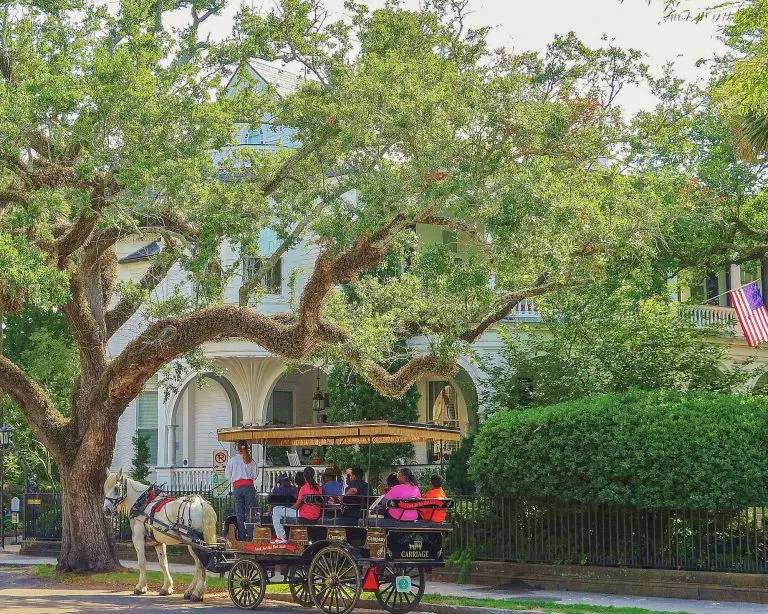 Things to do in Charleston SC with kids include taking a carriage ride