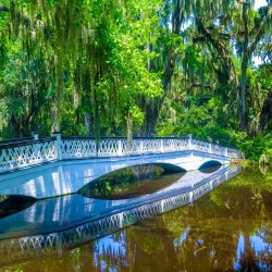 10 Fun Things to Do in Charleston, SC with Kids