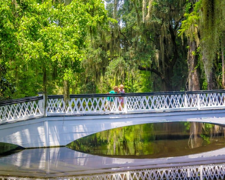 Things to do in Charleston SC for kids