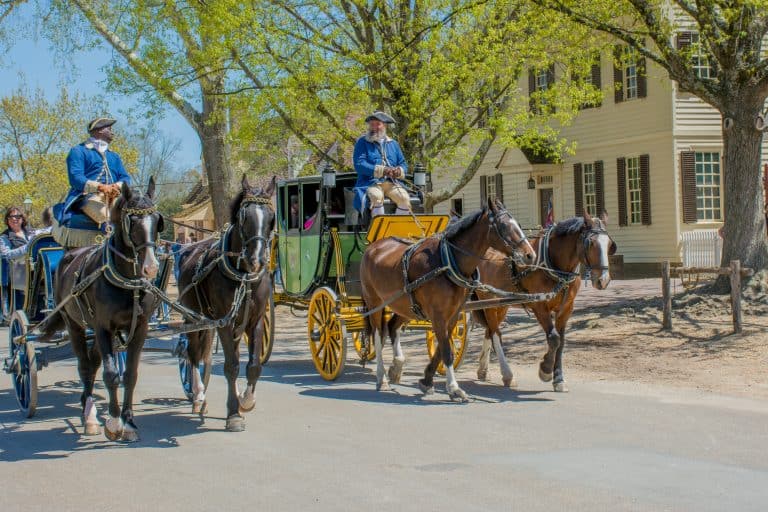 Top 10 Fun Things to Do in Williamsburg, VA with Kids Trekaroo Family