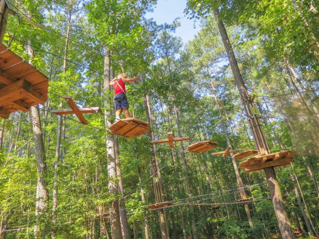 Things to do in Williamsburg VA with kids Go Ape