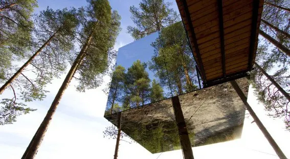 tree hotel sweden