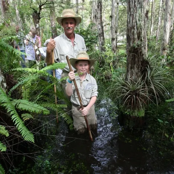 swampwalk