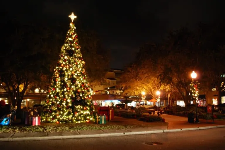 christmas-in-tampa-tree-lighting-by-flickr-gordon-tarpley