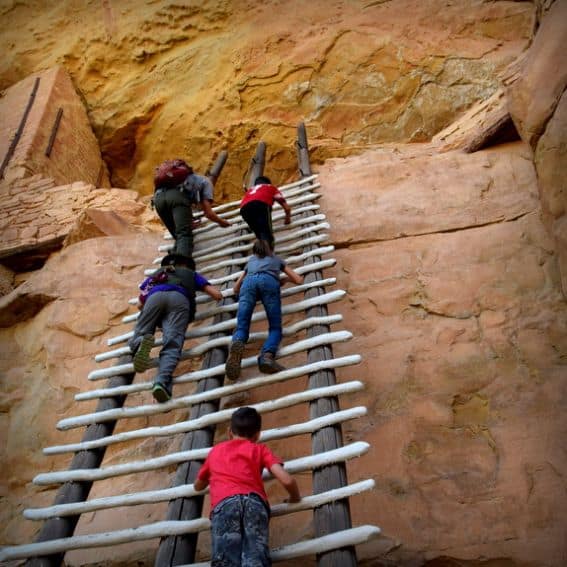 8 Things To Do In Mesa Verde National Park [with Kids!] | LaptrinhX / News