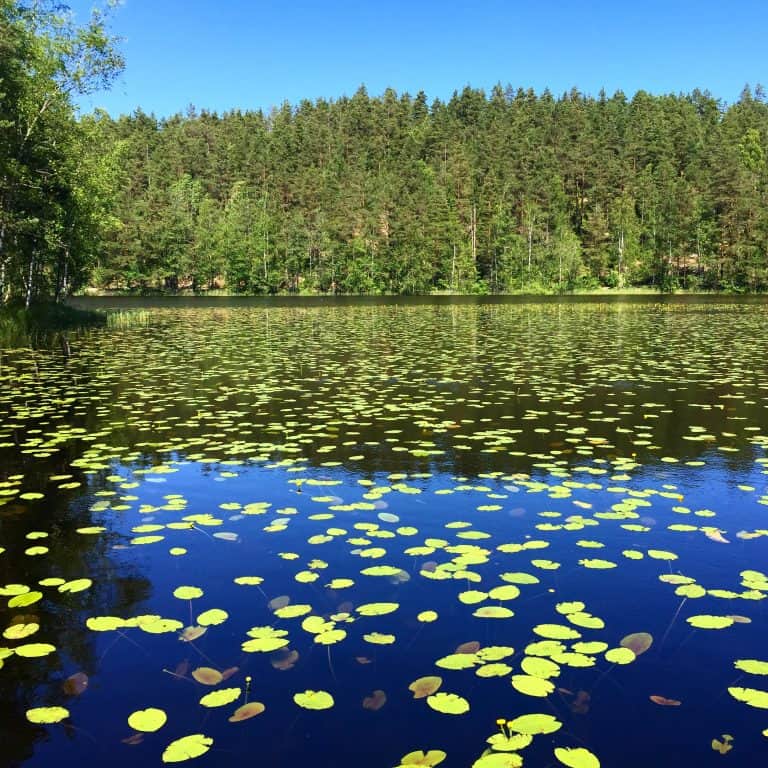 Nuuksio National Park Finland