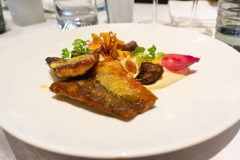 Salutoget Pike Perch