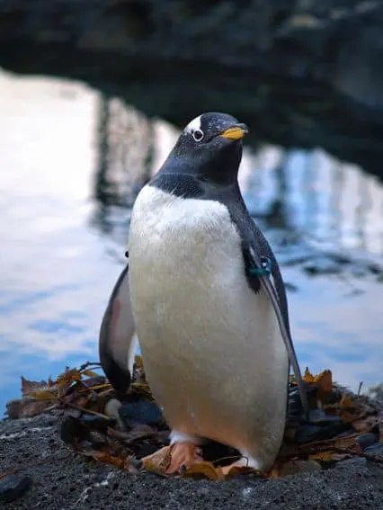 Bergen Aquarium