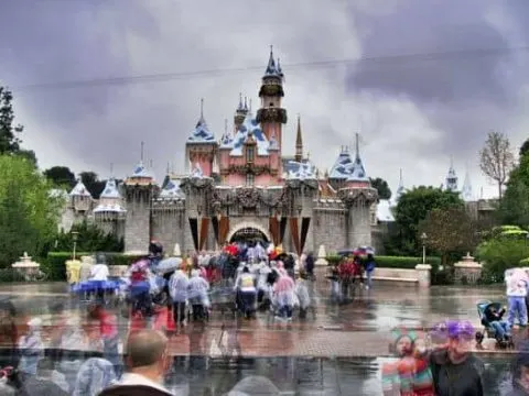 Rainy Day Fun at the Disneyland Resort