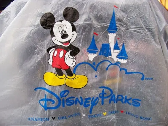 Disneyland poncho