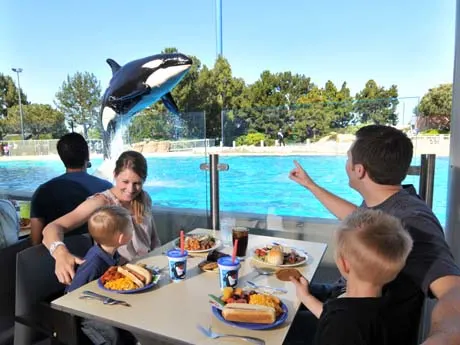 SeaWorld San Diego dining