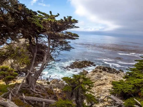 Outdoor adventures in Monterey County include these STUNNING ocean views. See where your family can HIKE & EXPLORE in Monterey County