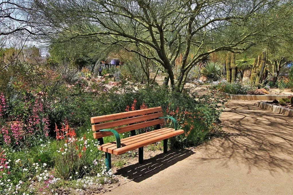 Las Vegas Springs Preserve photo