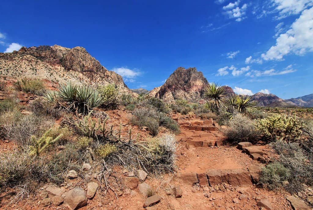 Spring Mountain Ranch photo