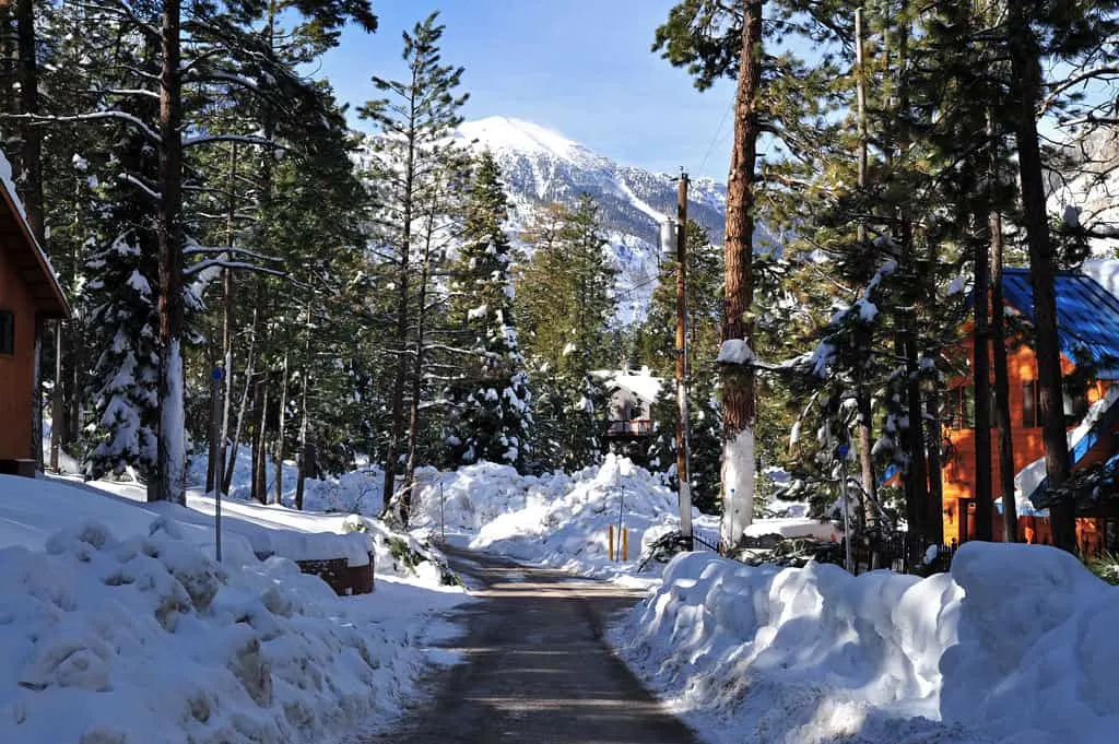 mount charleston snow photo