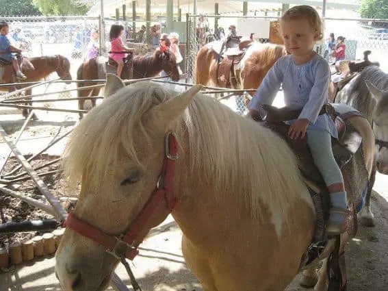 Griffith Park Pony Rides offer kids ages 1-13 the chance to ride horses of a variety of levels and speeds for just $3