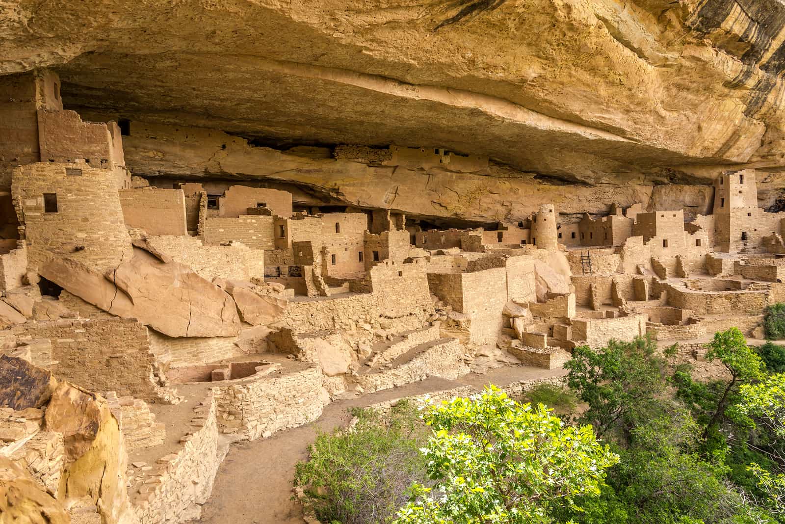 The 8 Best Things to do in Mesa Verde with Kids