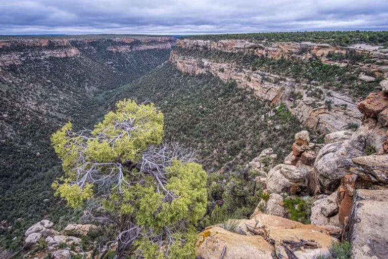 Things to do in Mesa Verde National Park include the checking out the incredibel views