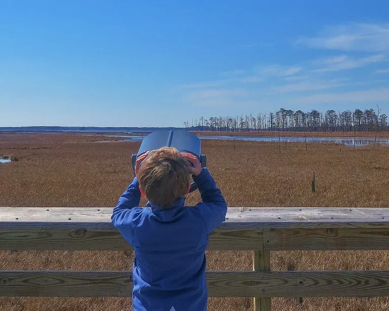 Places to Visit in Maryland Blackwater National Wildlife Refuge