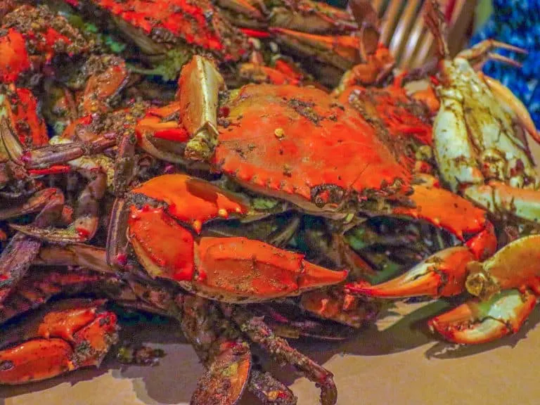 Eat Crab in Maryland with Kids