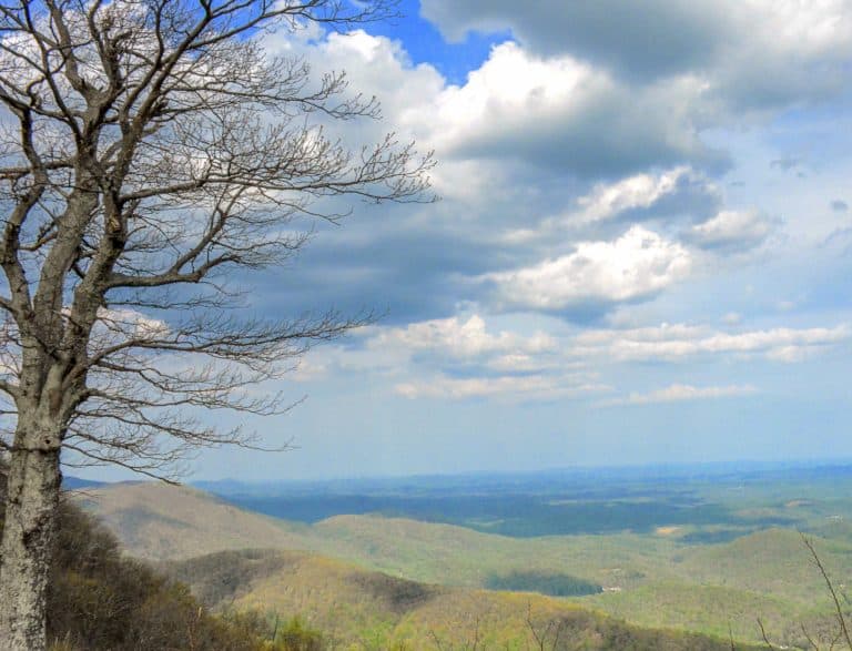 Virginia Road Trips on The Blue Ridge Parkway with Kids