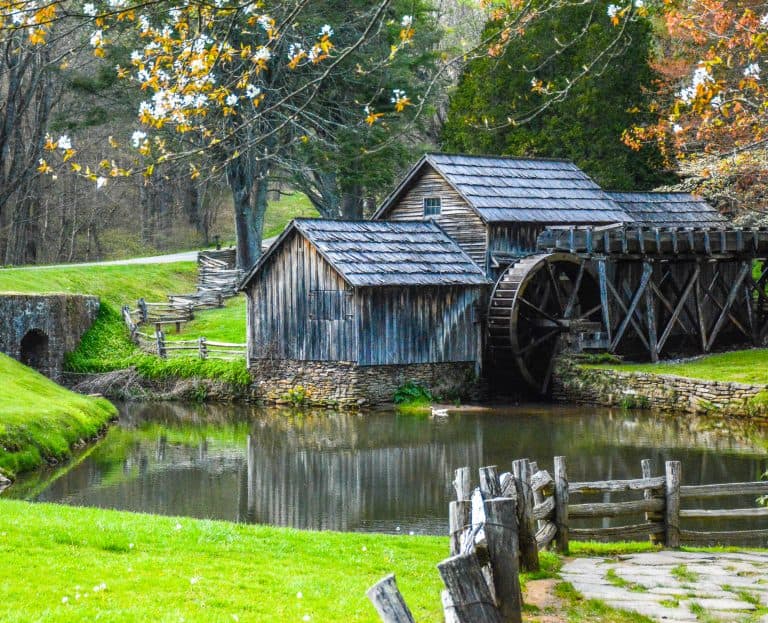 Virginia Road Trips on The Blue Ridge Parkway with Kids