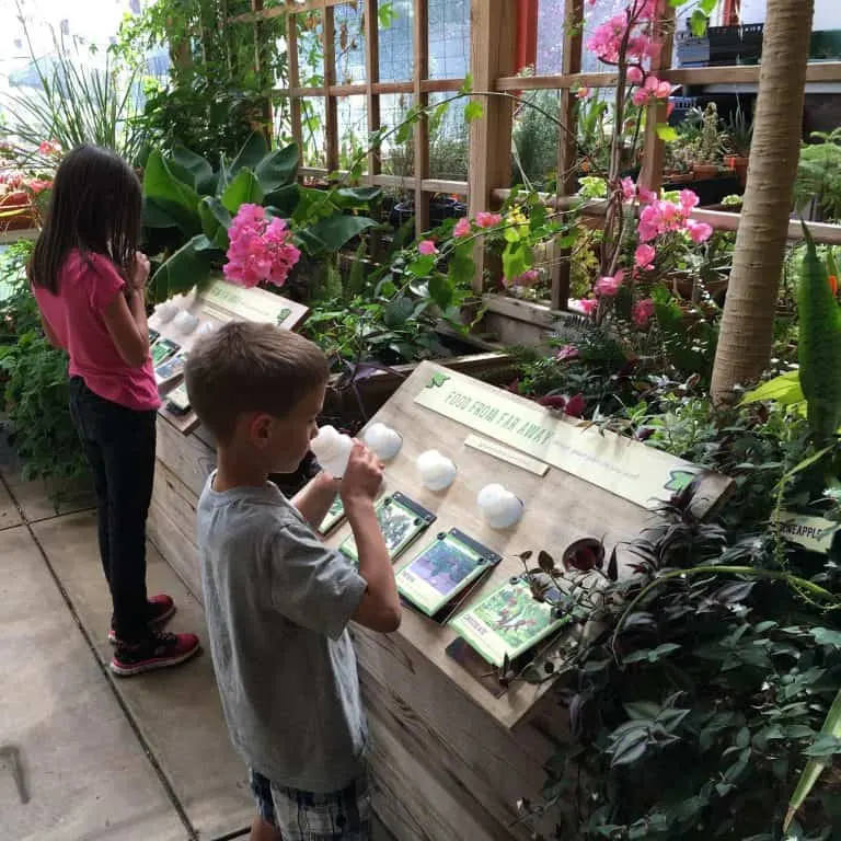 denver botanical garden by tiffany vaughn