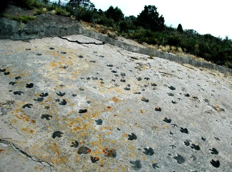 dinosaur tracks bt flickr james st john