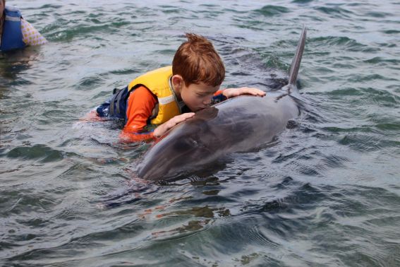swim with dolphin Philippines
