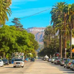 Hollywood & Celebrity-Themed Fun with Kids in Los Angeles