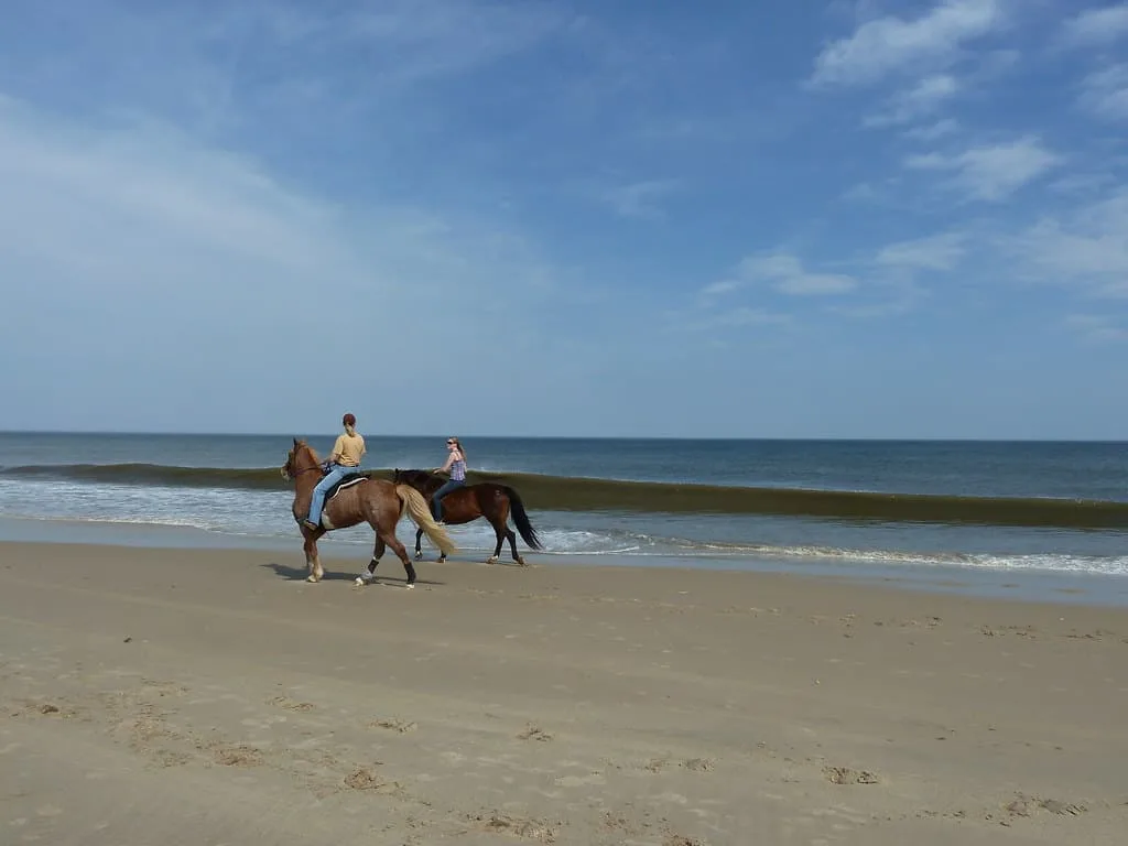 cape henlopen photo