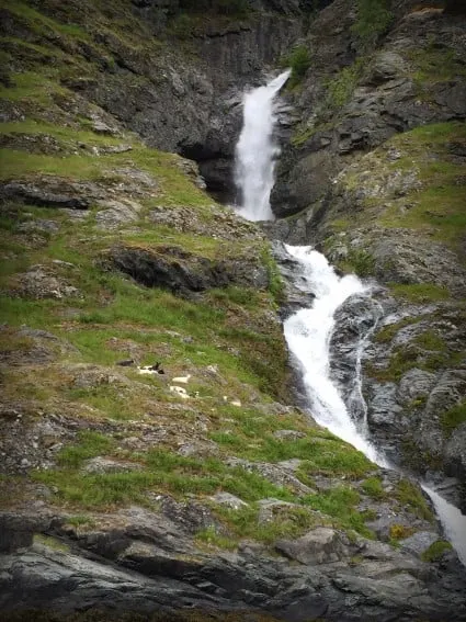 Norway waterfall goats