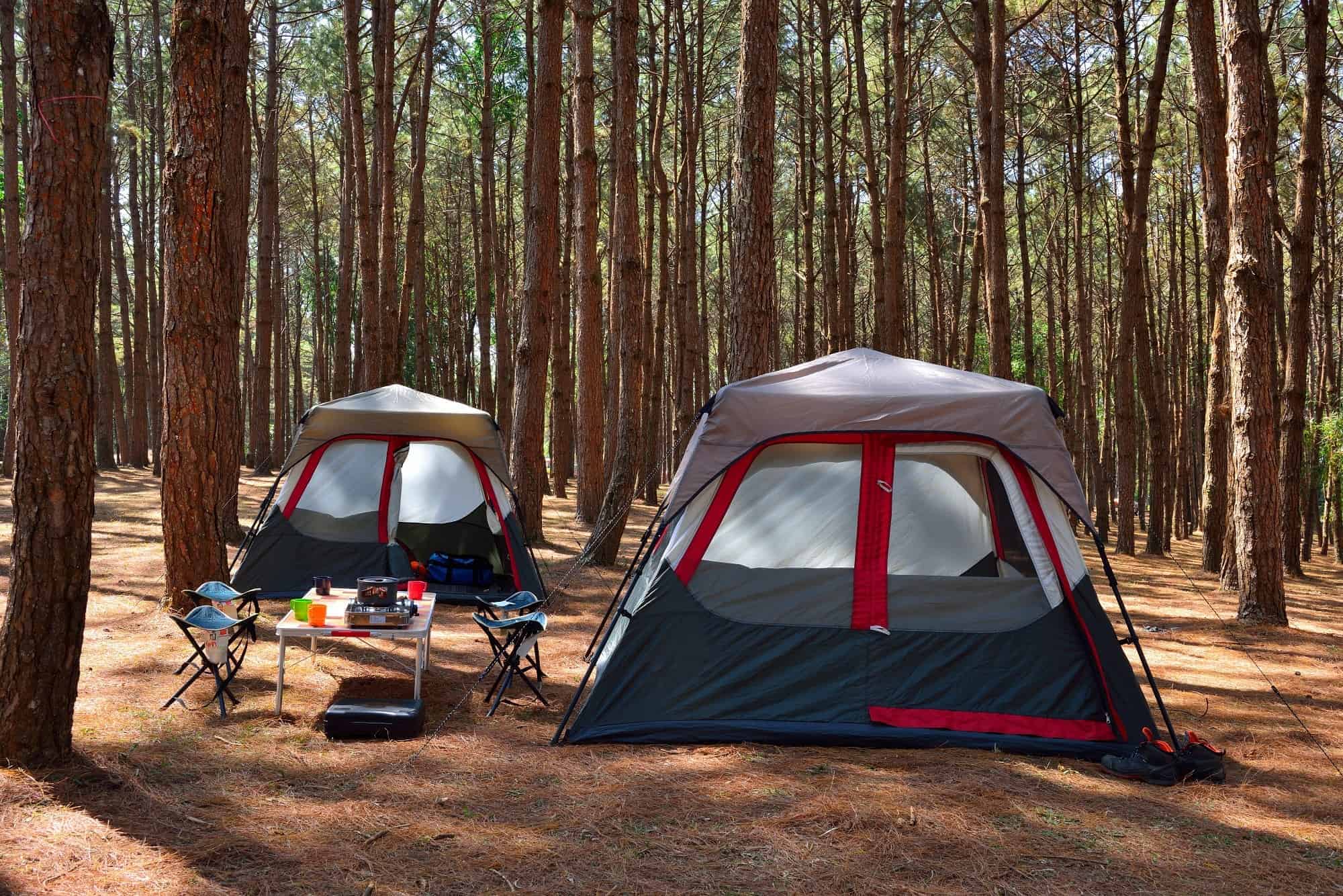 https://blog.trekaroo.com/wp-content/uploads/2016/07/Top-family-camping-gear-shutterstock.jpg