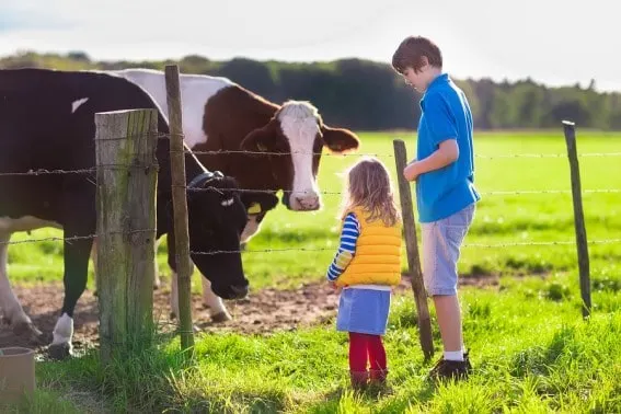 Visiting a farm for an immersive vacation can be a great way to get your kids to explore real food #realfoodrocks
