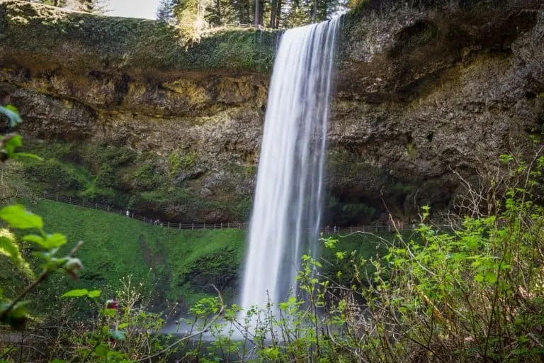 Silver Falls State Park is one of the best state parks in the USA