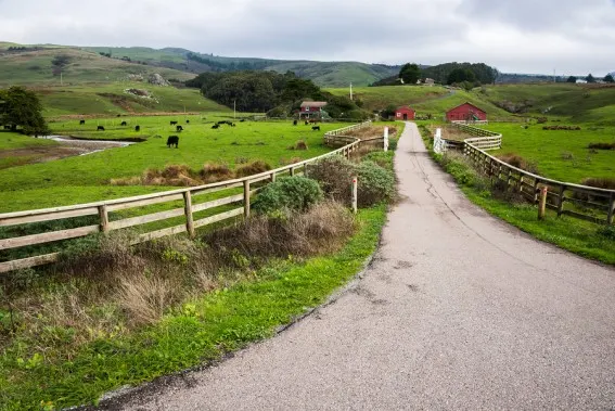 Foodie-centric locations feature farms and family-friendly explorations to explore real food. You'll start Helping Kids Understand Where Their Food Grows #realfoodrocks