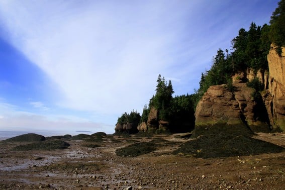 Bay of Fundy with Kids