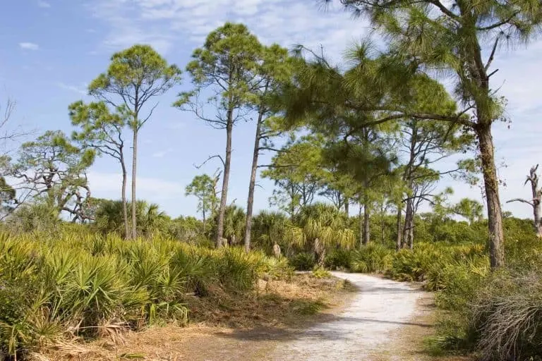 Caladesi Island a natural beauty on Floridas Gulf Coast